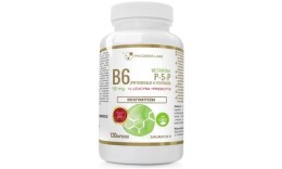 Progress Labs Witamina B6 (120kap)