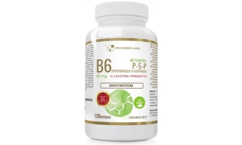 Progress Labs Witamina B6 (120kaps.)