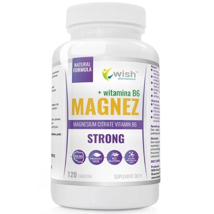 Wish Magnez Strong B6 (120 tab)