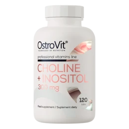 OstroVit Cholina + Inozytol (120 tab)