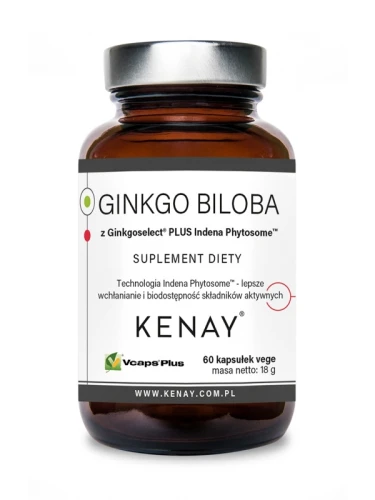 Kenay Ginkgo Biloba z Ginkgoselect® Phytosome® (60 kap)