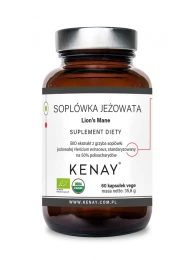 Kenay Soplówka jeżowata Lion's Mane (300 kap)