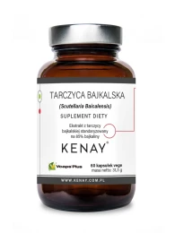 Kenay Tarczyca Bajkalska (60 kap)