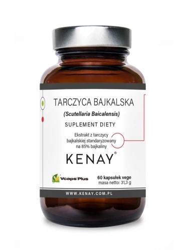 Kenay Tarczyca Bajkalska (60 kap)