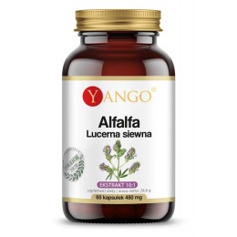 YANGO Alfalfa  Lucerna siewna ( 60 kap)