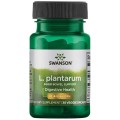 SSwanson L. Plantarum probiotyk 30 kapsułek