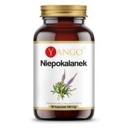 YANGO Niepokalanek  (90 kap)