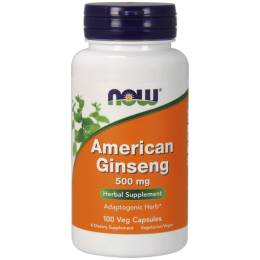 Now Foods American Ginseng Żeń-szeń Amerykański 500mg(100kap) 