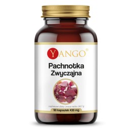 YANGO Pachnotka zwyczajna  (90 kap)