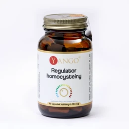 Yango Regulator homocysteiny  (90 kap)
