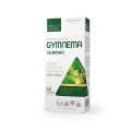 Gymnema.jpg